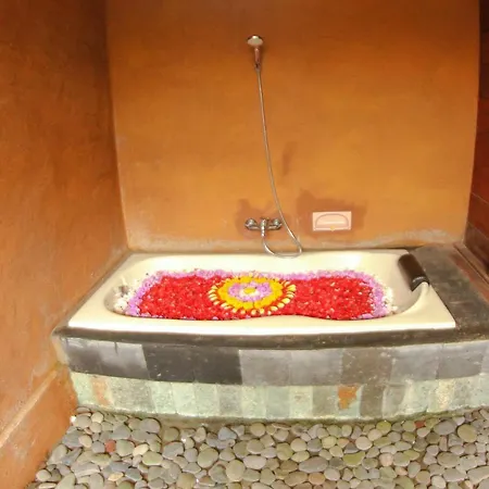 Vinarya Villa Ubud Extérieur photo