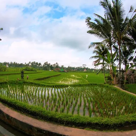 Vinarya Villa Ubud Extérieur photo