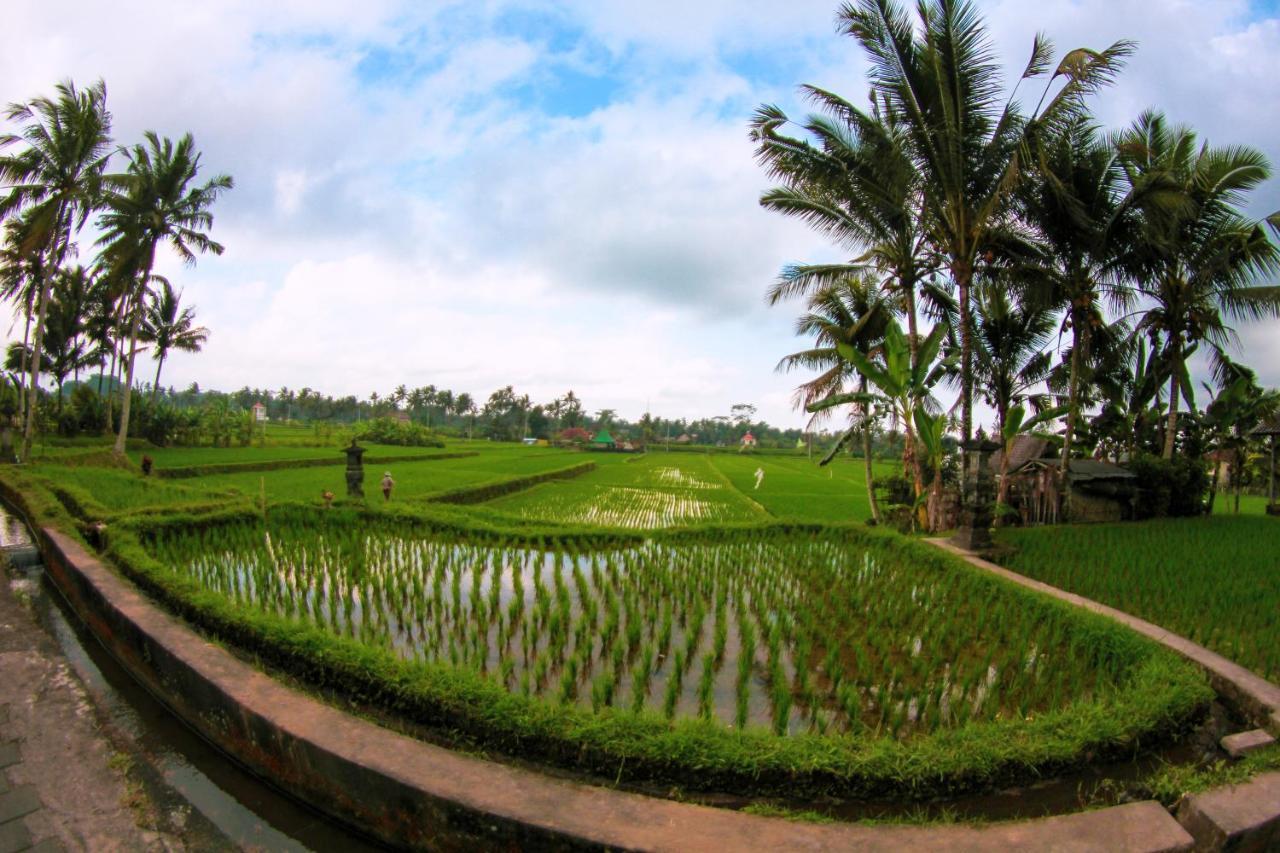 Vinarya Ubud